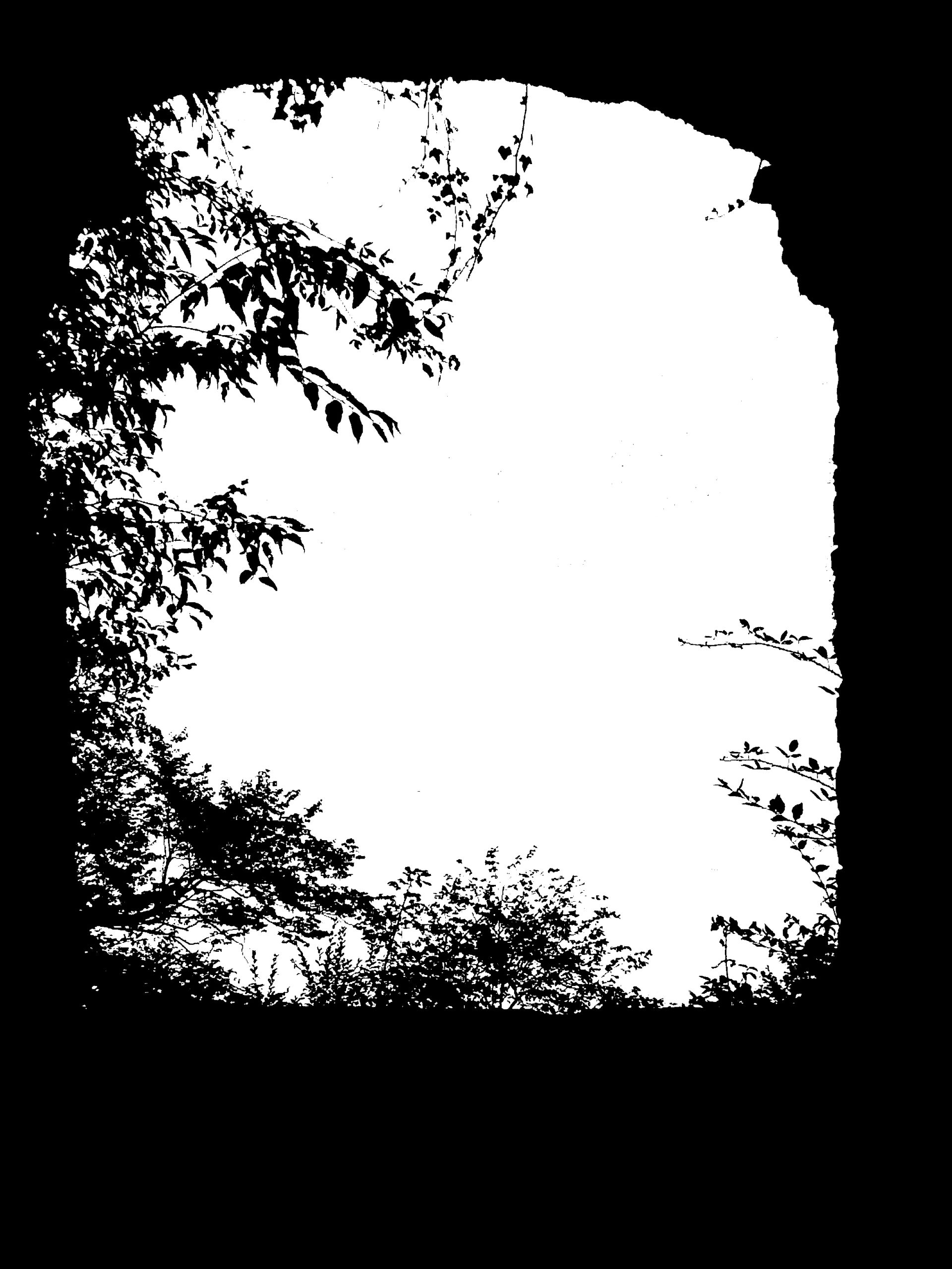 Test post